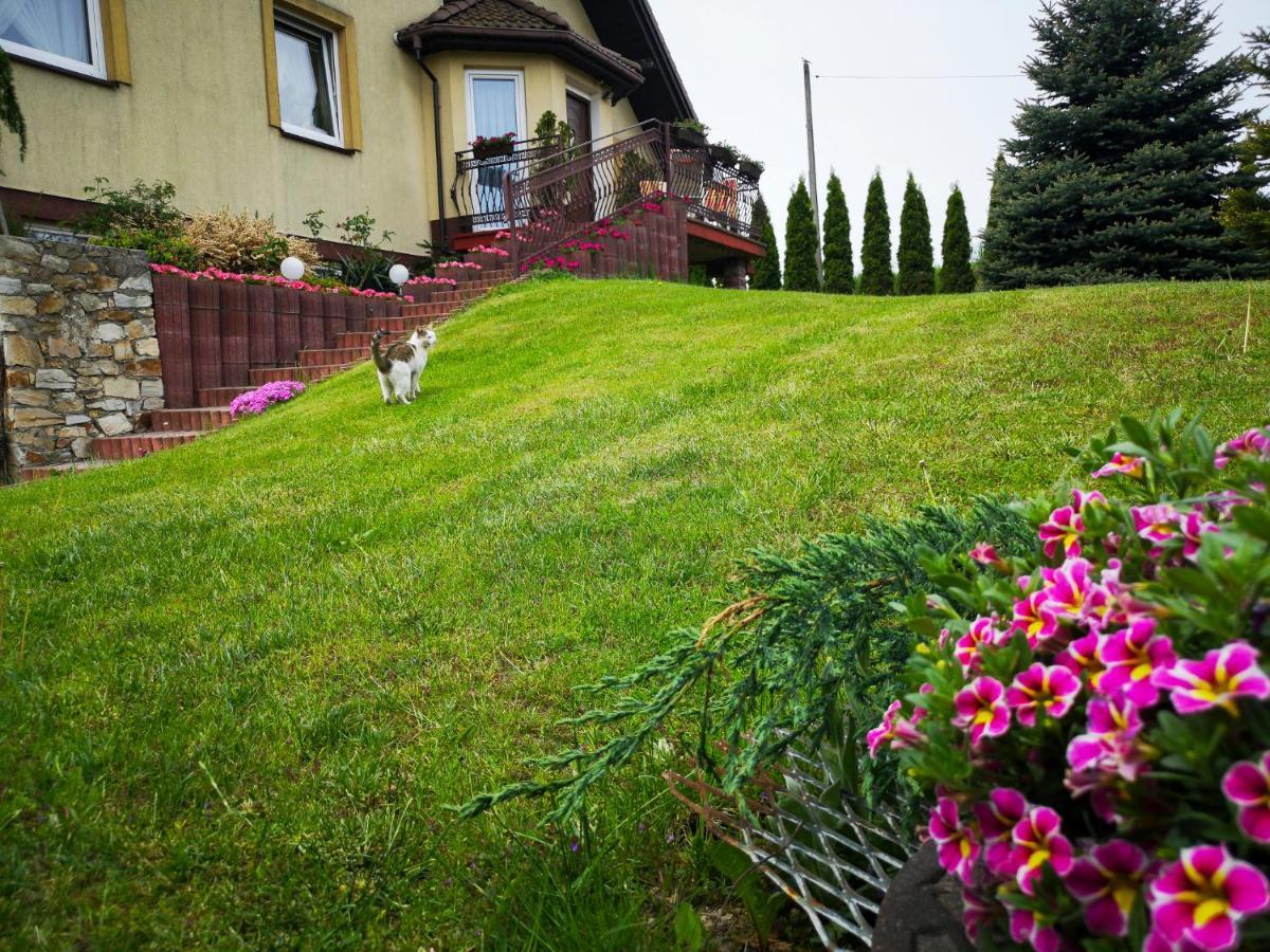 Swierkowy Zakatek Gorno  外观 照片