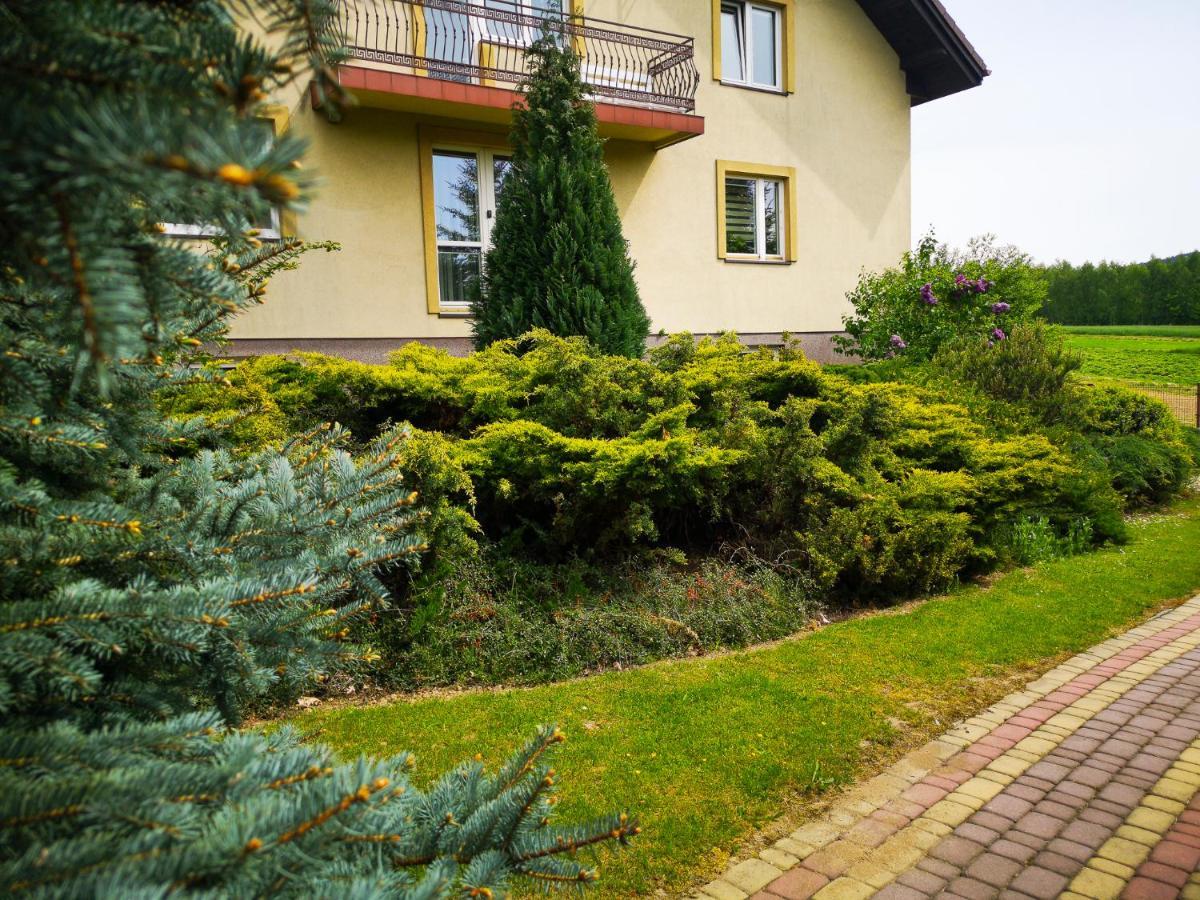 Swierkowy Zakatek Gorno  外观 照片